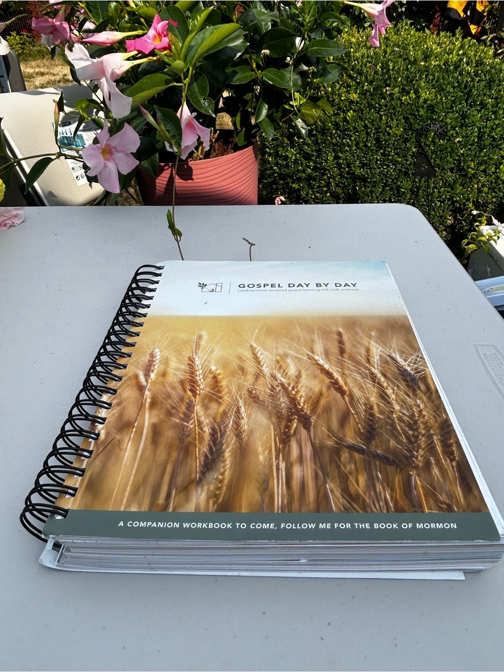 Gospel Day by Day Spiral Workbook - Wheat Cover (White, Tan)
